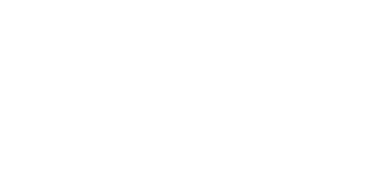 Multimodal Ventures