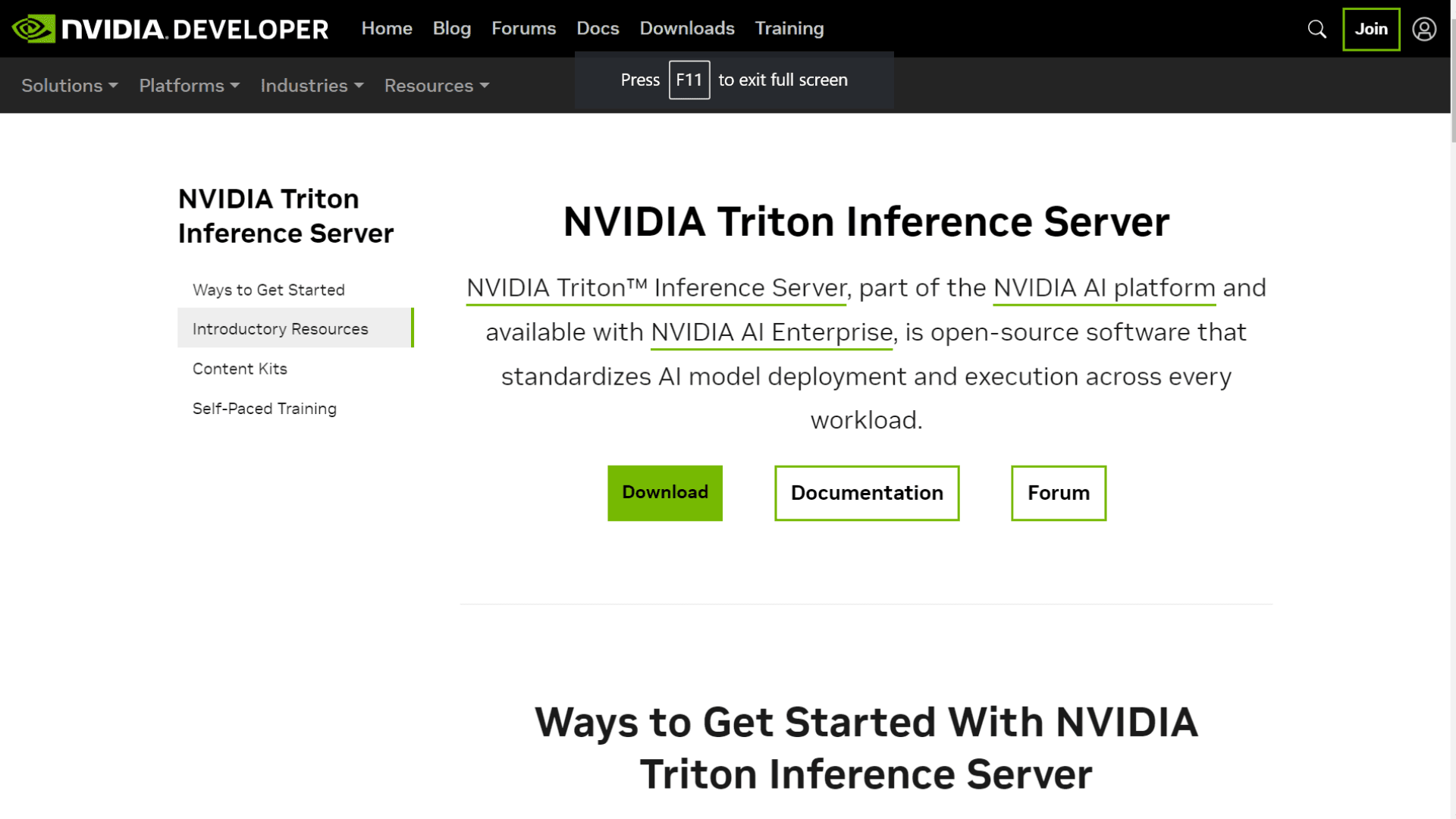 NVIDIA Triton Inference Server